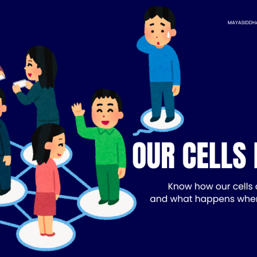 How Cells Communicate : Explore 2 Different Types of Cell Communication