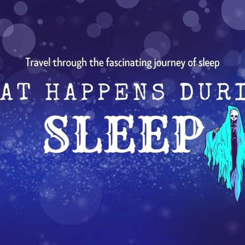 what happens when we sleep